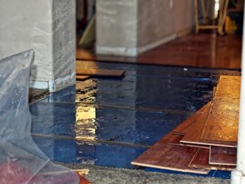 Water Damage Restoration Near Me Arbutus Md