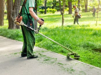 Landscaper Near Me Arbutus Md