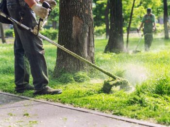 Landscaper Near Me Halethorpe Md